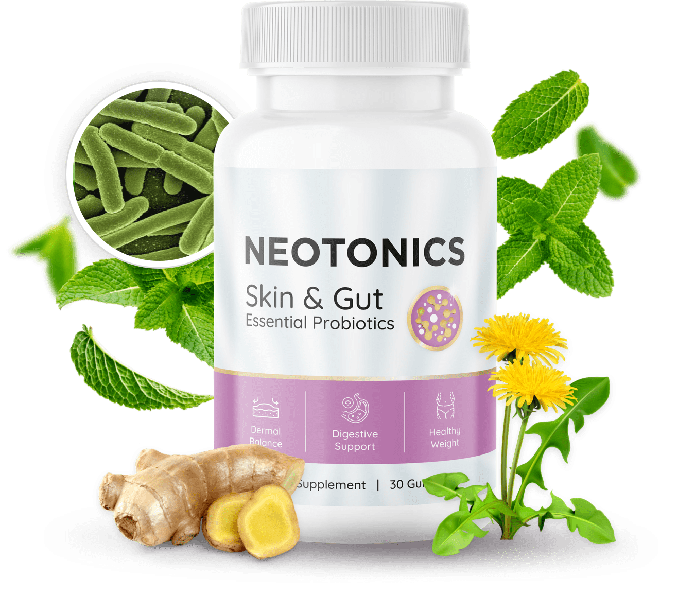 geteasychoice/neotonics